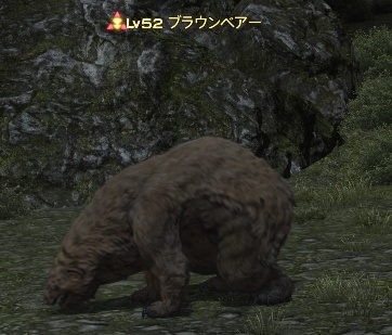 FF14の素材熊脂を落とすブラウンベアーの画像
