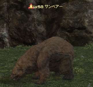 FF14の素材熊脂を落とすサンベアーの画像