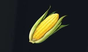 データベース＿料理素材＿もろコーン