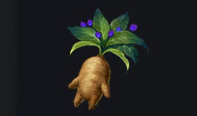 データベース＿料理素材＿賢者の根菜