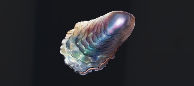 データベース＿魚＿オクリイ貝