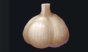 データベース＿料理素材＿潮ニンニク