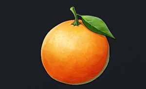 データベース＿料理素材＿白上ミカン