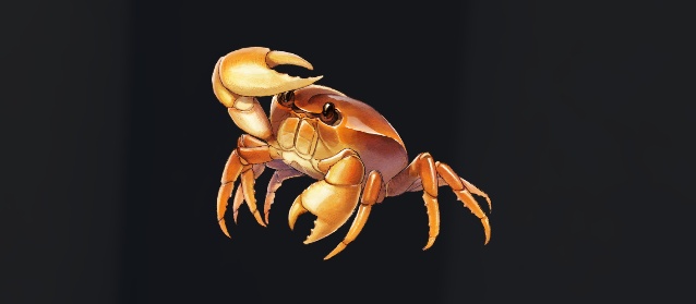 データベース＿魚＿ドコカニ