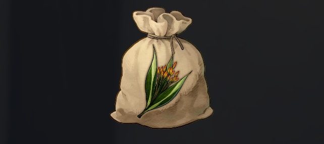 データベース＿種苗＿カレーテ草の種