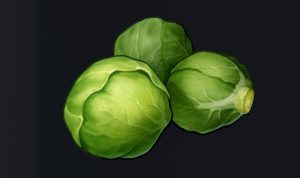 データベース＿料理素材＿アルジェキャベツ