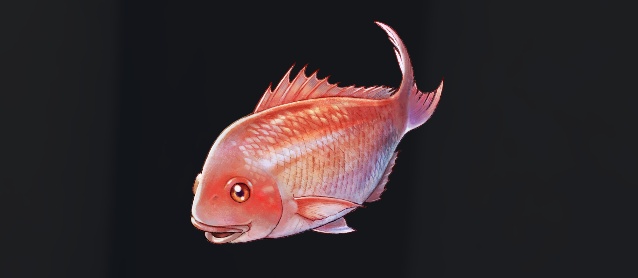 データベース＿魚＿アッタカタイ