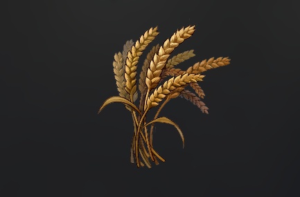 データベース＿料理素材＿星コムギ