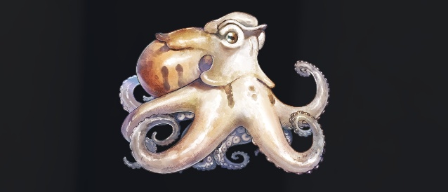 データベース＿魚＿トラベラーダコ