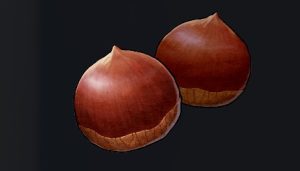 データベース＿料理素材＿ひめクリ