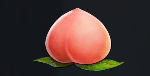 データベース＿料理素材＿源郷モモ