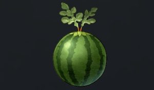 データベース＿料理素材＿浮島スイカ