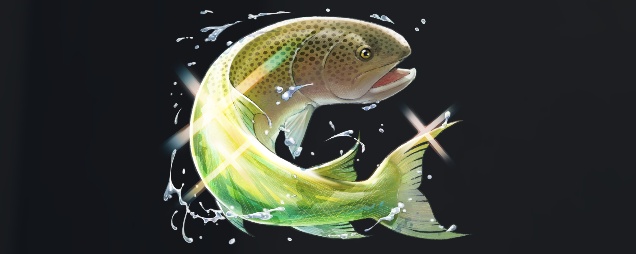 データベース＿魚＿モノライトウ