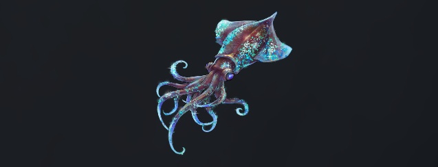 データベース＿魚＿モノライカ