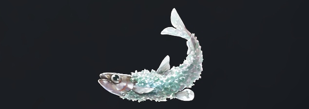 データベース＿魚＿レイトウワカサギ