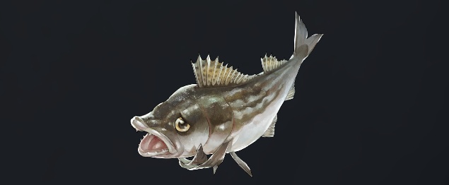 データベース＿魚＿サムソウダラ