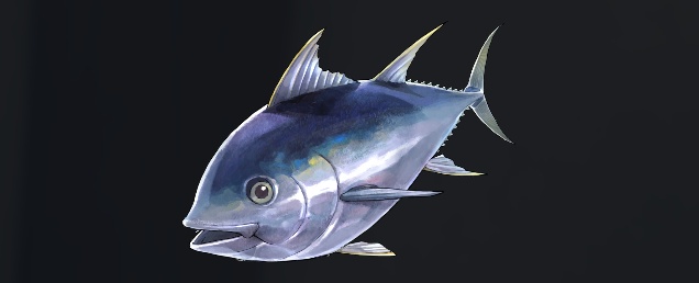 データベース＿魚＿ダイオウマグロ