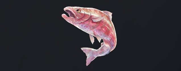 データベース＿魚＿サクラミマス